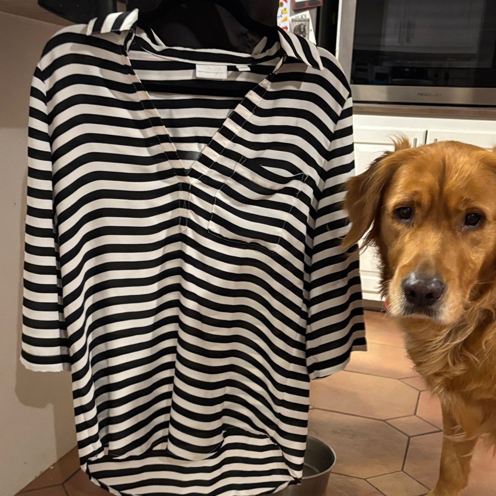 New York & Company Monochrome Striped Blouse